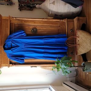 Blue Zara Dress
